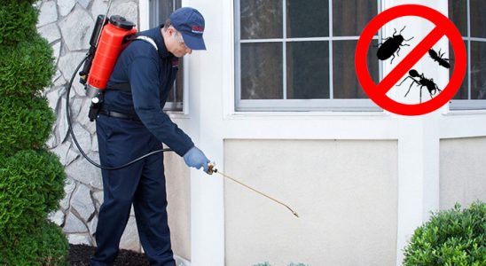 Elmalı Haşere İlaçlama böcek ilaçlama ve haşere kontrolü — ilaclama-tr.com